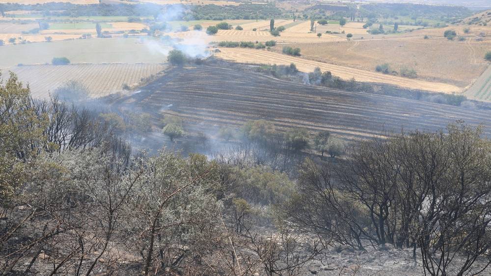 Kula’da yangınlar devam ediyor: 100 dönüm arazi küle döndü