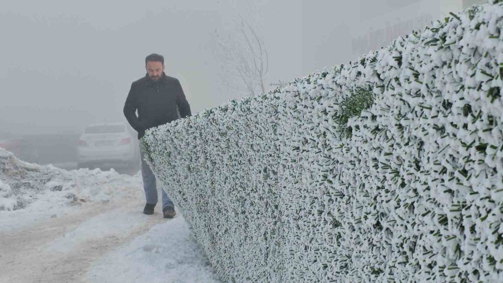 Bitlis’te dondurucu soğuk etkili oluyor: Ağaçlar kırağıyla kaplandı
