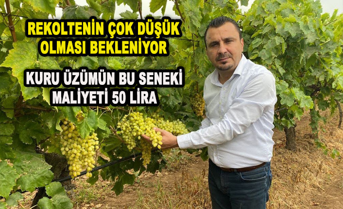 BAŞEVİRGEN: KURU ÜZÜM 65 TL’NİN ALTINDA OLMAMALI 