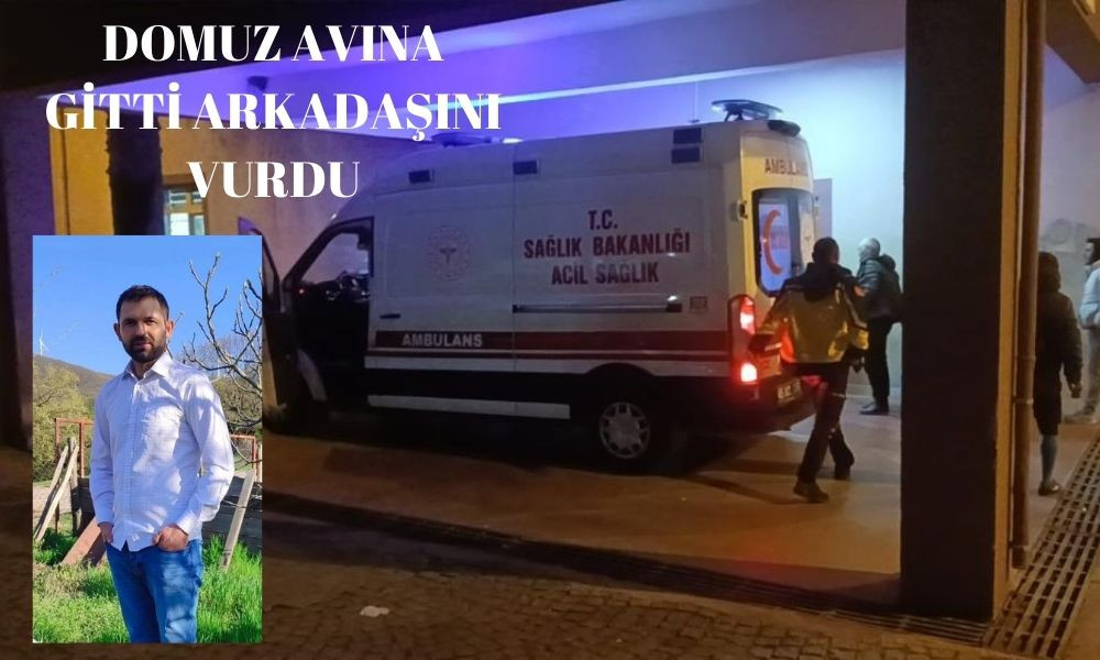 DOMUZ AVINA GİTTİ ARKADAŞINI VURDU