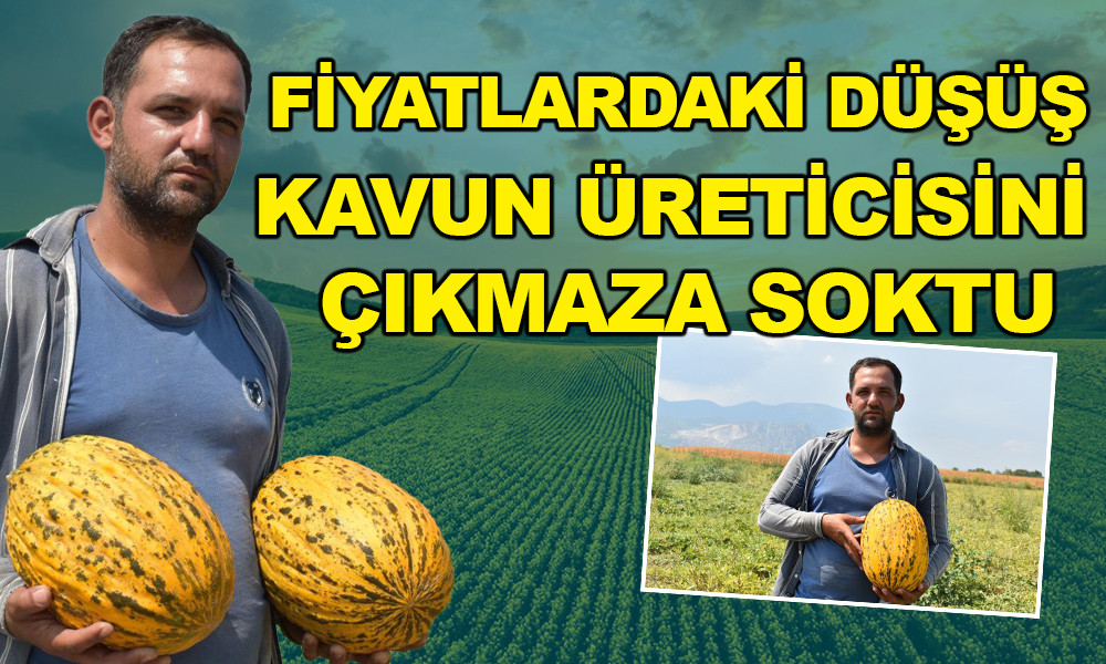 MANİSALI ÇİFTÇİ KAVUN FİYATLARINDAKİ DÜŞÜŞTEN DERT YANDI