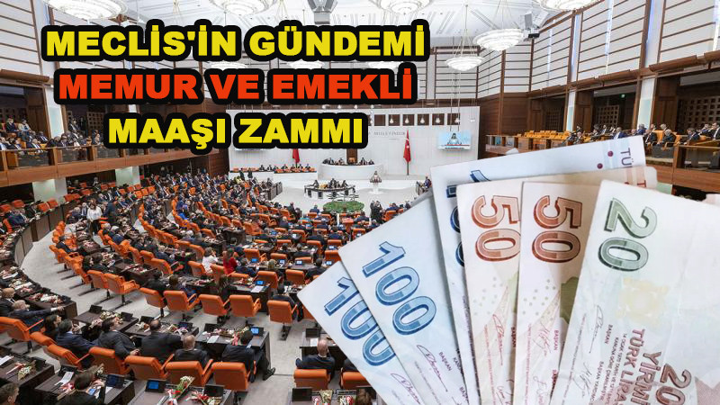 MECLİS'İN GÜNDEMİ MEMUR VE EMEKLİ MAAŞI ZAMMI